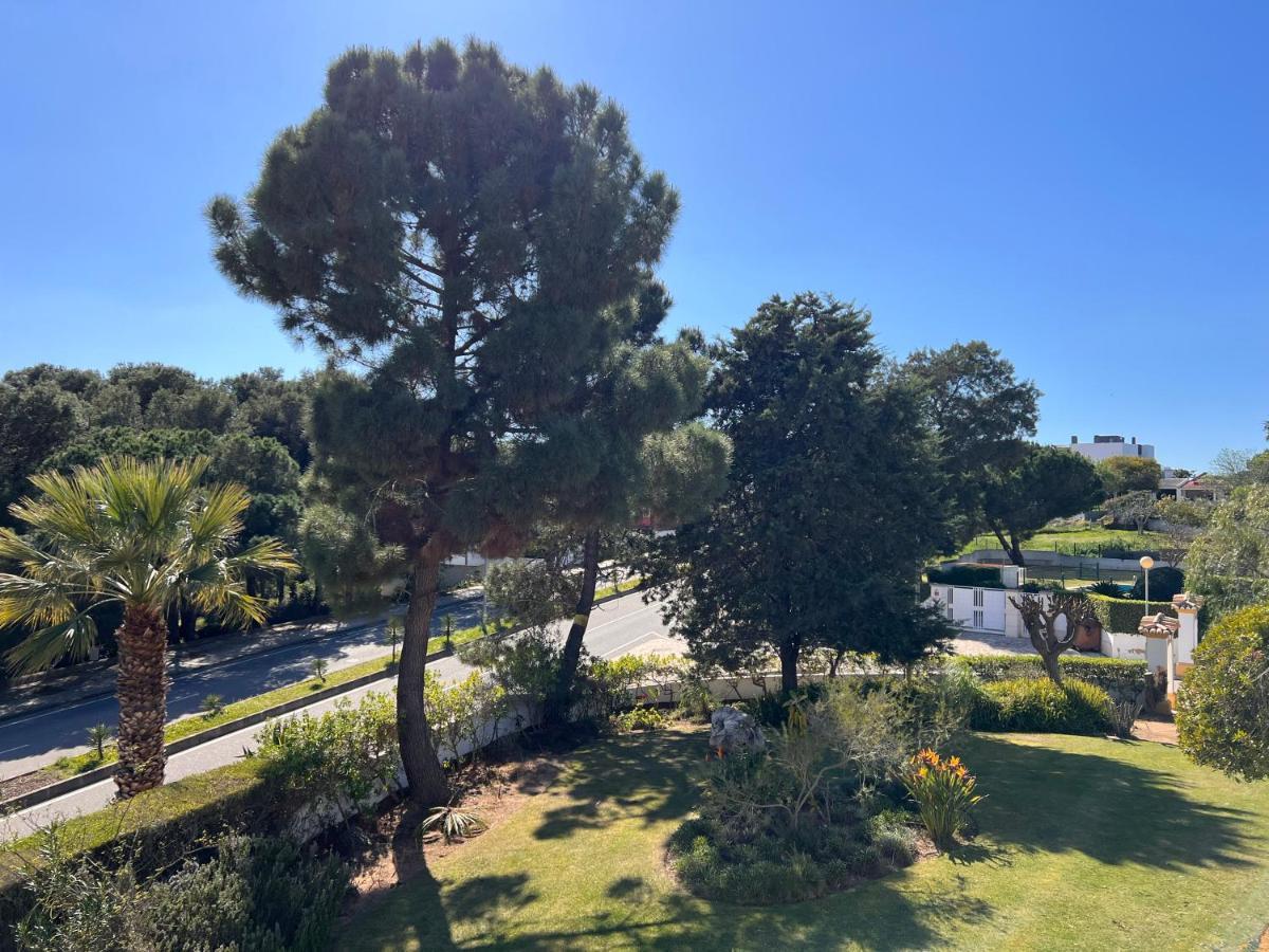 Apartamento Luxury Modern T2 Ocean View - Free Parking - Pool